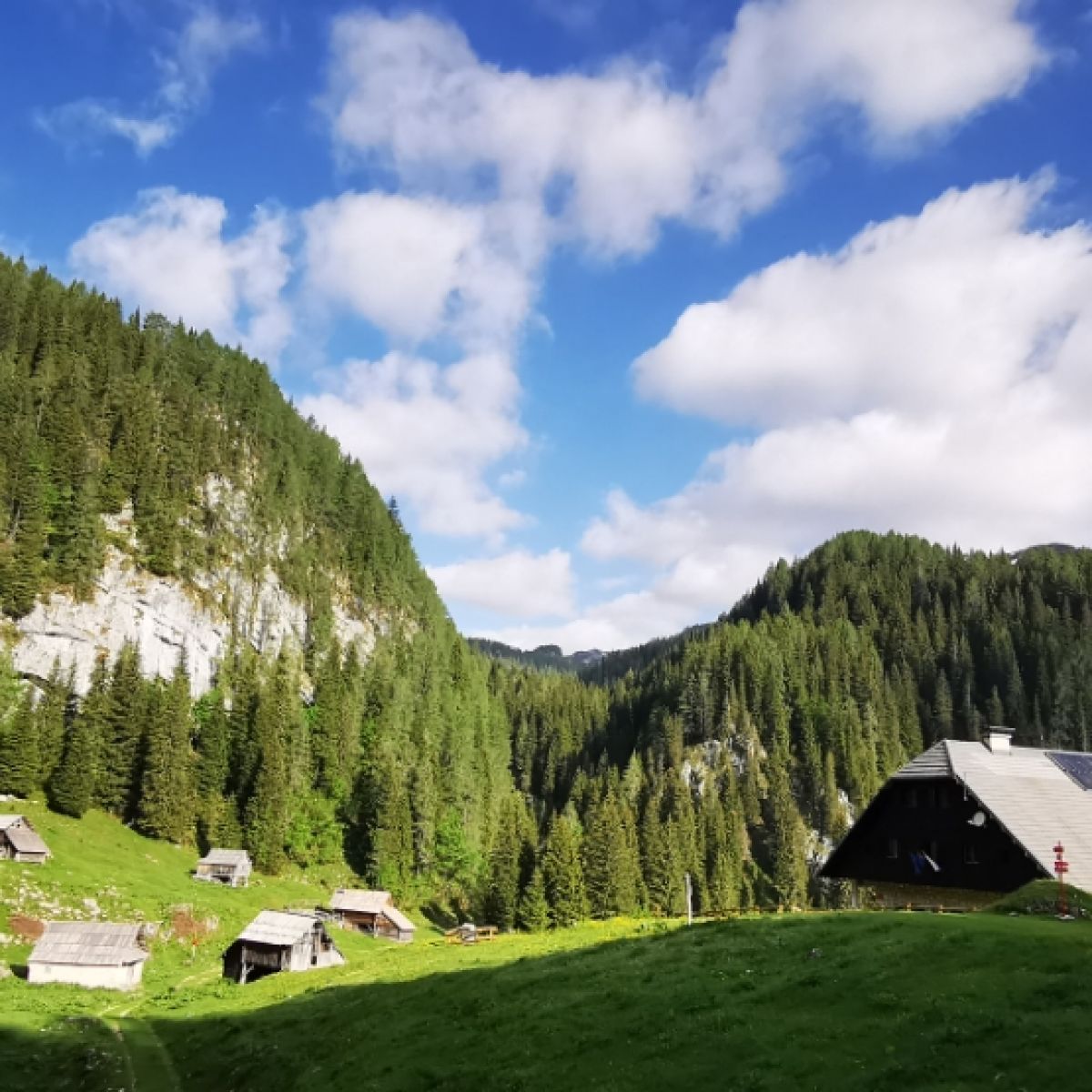 Koča na Planini pri Jezeru (1453m) Planinc Koča na Planini pri Jezeru (1453m) Planinc