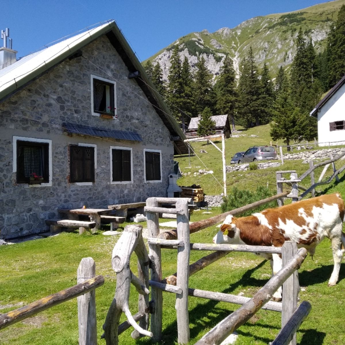 Taborni ki Dom ija 1528m Planinc